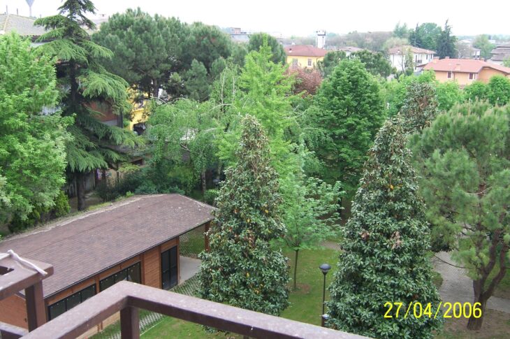 Vista panoramica del giardino della struttura con alberi, percorsi pedonali e area verde.